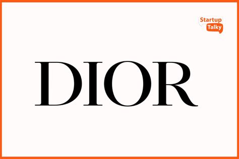 dior company profile|what company owns christian dior.